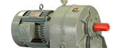 Parallel Shaft Geared Motor(F, RP series)