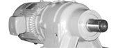 Planetary Geared Motor(P series)